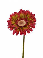 Gerbera 48cm rood/zalm